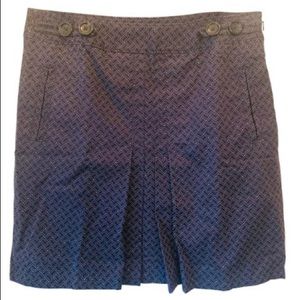 Ann Taylor Skirt